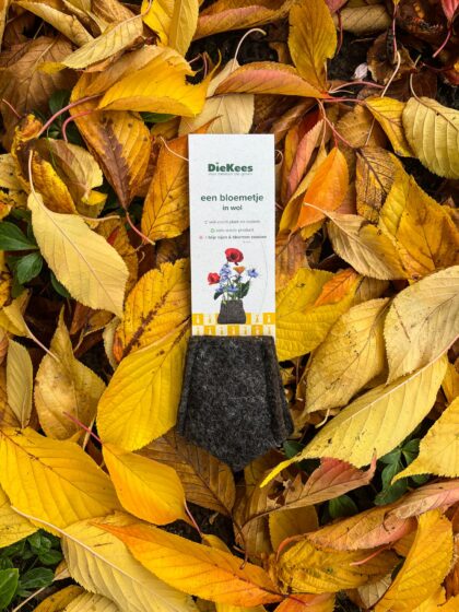 DieKees - een zakje bloemen