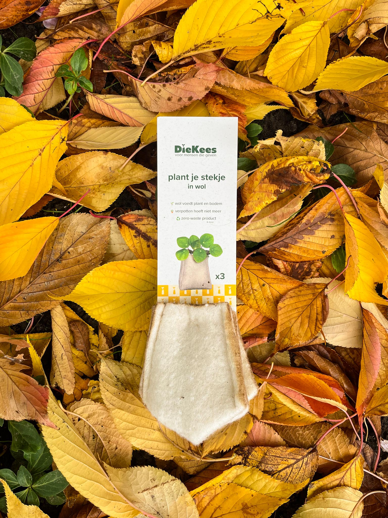 DieKees x3 - wit - Afbeelding 2