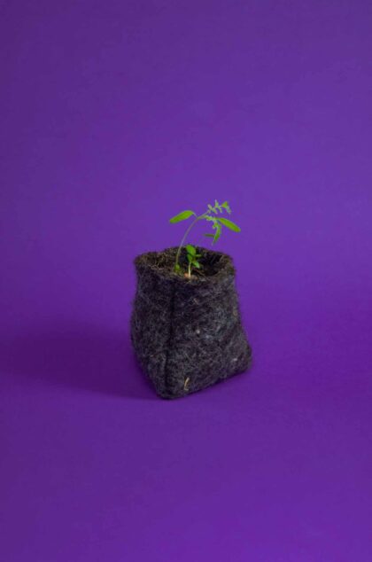 DieKees - plant een bosje bloemen